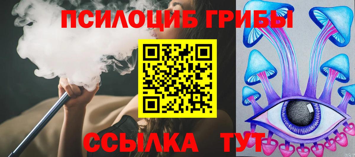 Псилоцибиновые грибы Psilocybine cubensis  Псилоцибиновые грибы Magic Shrooms  Тара  Вход с VPN 