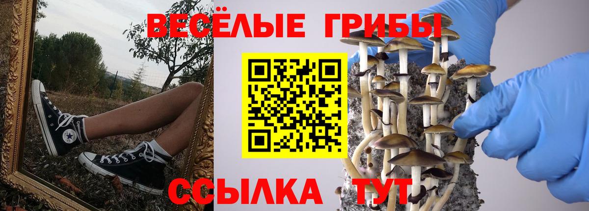 Псилоцибиновые грибы Magic Shrooms Тара